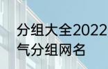 分组大全2022最新版的 高冷二字霸气分组网名