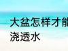 大盆怎样才能把花浇透水呢 如何给花浇透水