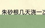朱砂根几天浇一次水 朱砂根浇水频率
