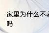 家里为什么不养扶桑 家里可以养扶桑吗