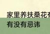 家里养扶桑花有忌讳吗 家里养扶桑花有没有忌讳