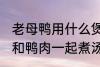 老母鸭用什么煲汤最好 哪些食物可以和鸭肉一起煮汤