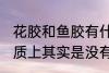 花胶和鱼胶有什么区别 鱼胶和花胶本质上其实是没有区别的对吗