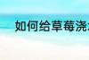 如何给草莓浇水 怎么给草莓浇水