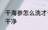 干海参怎么洗才干净 干海参如何洗才干净