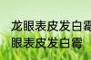 龙眼表皮发白霉怎么处理 如何解决龙眼表皮发白霉