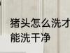 猪头怎么洗才能洗干净 猪头怎样洗才能洗干净