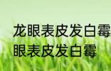 龙眼表皮发白霉怎么处理 如何解决龙眼表皮发白霉
