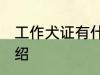 工作犬证有什么用 工作犬证的作用介绍