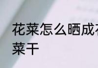 花菜怎么晒成花菜干 花菜如何晒成花菜干