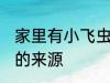 家里有小飞虫从哪里来 家里有小飞虫的来源