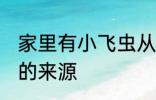 家里有小飞虫从哪里来 家里有小飞虫的来源