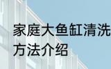 家庭大鱼缸清洗方法 家庭大鱼缸清洗方法介绍