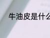 牛油皮是什么面料 牛油皮的用途