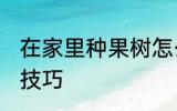 在家里种果树怎么种 在家里种果树的技巧
