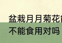 盆栽月月菊花能食用吗 盆栽月月菊花不能食用对吗