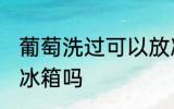 葡萄洗过可以放冰箱吗 葡萄洗过能放冰箱吗