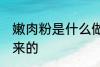 嫩肉粉是什么做的 嫩肉粉是什么做出来的