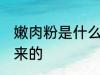 嫩肉粉是什么做的 嫩肉粉是什么做出来的