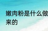 嫩肉粉是什么做的 嫩肉粉是什么做出来的