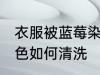 衣服被蓝莓染色怎么洗 衣服被蓝莓染色如何清洗