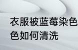 衣服被蓝莓染色怎么洗 衣服被蓝莓染色如何清洗