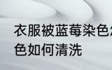 衣服被蓝莓染色怎么洗 衣服被蓝莓染色如何清洗