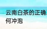 云南白茶的正确冲泡方法 云南白茶如何冲泡