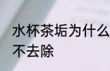 水杯茶垢为什么不去除 水杯茶垢怎么不去除