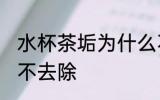 水杯茶垢为什么不去除 水杯茶垢怎么不去除