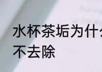 水杯茶垢为什么不去除 水杯茶垢怎么不去除