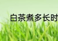 白茶煮多长时间 煮多长时间白茶