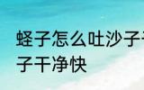 蛏子怎么吐沙子干净快 蛏子如何吐沙子干净快