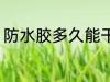 防水胶多久能干 防水胶多长时间能干