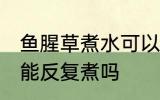 鱼腥草煮水可以反复煮吗 鱼腥草煮水能反复煮吗