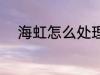 海虹怎么处理干净 如何清理海虹