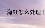 海虹怎么处理干净 如何清理海虹