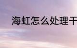 海虹怎么处理干净 如何清理海虹