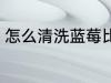 怎么清洗蓝莓比较干净 蓝莓如何清洗