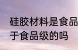 硅胶材料是食品级的吗 硅胶材料是属于食品级的吗