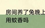 房间养了兔晚上可以点蚊香吗 兔子能用蚊香吗