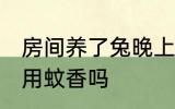 房间养了兔晚上可以点蚊香吗 兔子能用蚊香吗