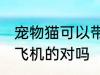 宠物猫可以带上飞机吗 猫咪是可以坐飞机的对吗