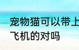 宠物猫可以带上飞机吗 猫咪是可以坐飞机的对吗