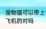 宠物猫可以带上飞机吗 猫咪是可以坐飞机的对吗