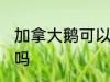 加拿大鹅可以水洗吗 加拿大鹅能水洗吗