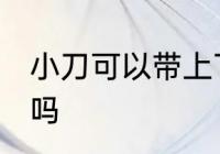 小刀可以带上飞机吗 小刀能带上飞机吗