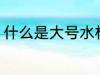 什么是大号水杯 大号水杯指的是什么