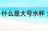 什么是大号水杯 大号水杯指的是什么