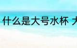 什么是大号水杯 大号水杯指的是什么